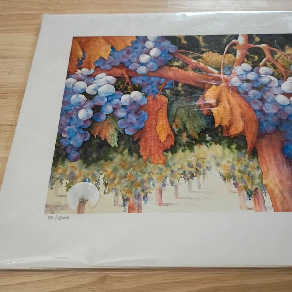 NEW Sue Archer Between Vine & Wine Fine Art Giclee Reproduction Watercolor Print - Picture 5 of 12